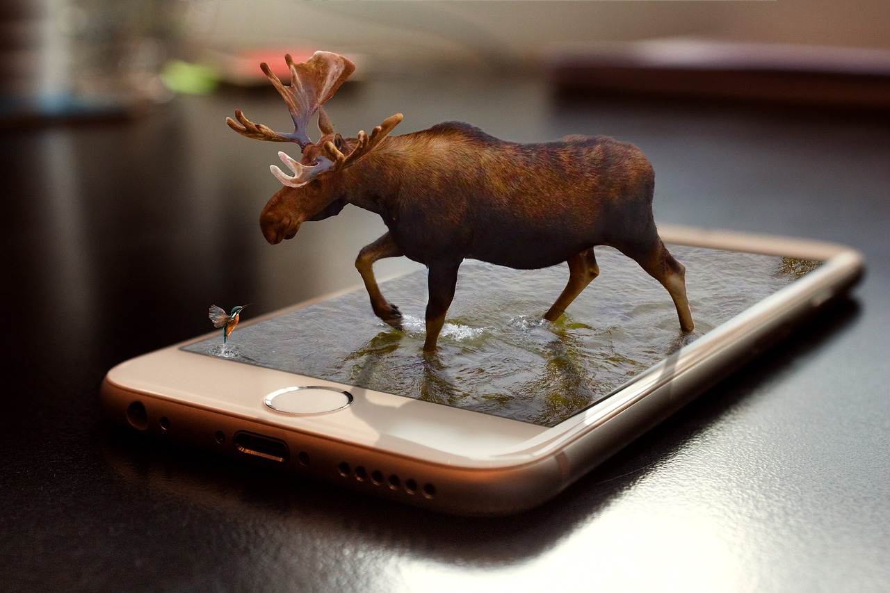 Moose and Hummingbird Hologram on an iPhone