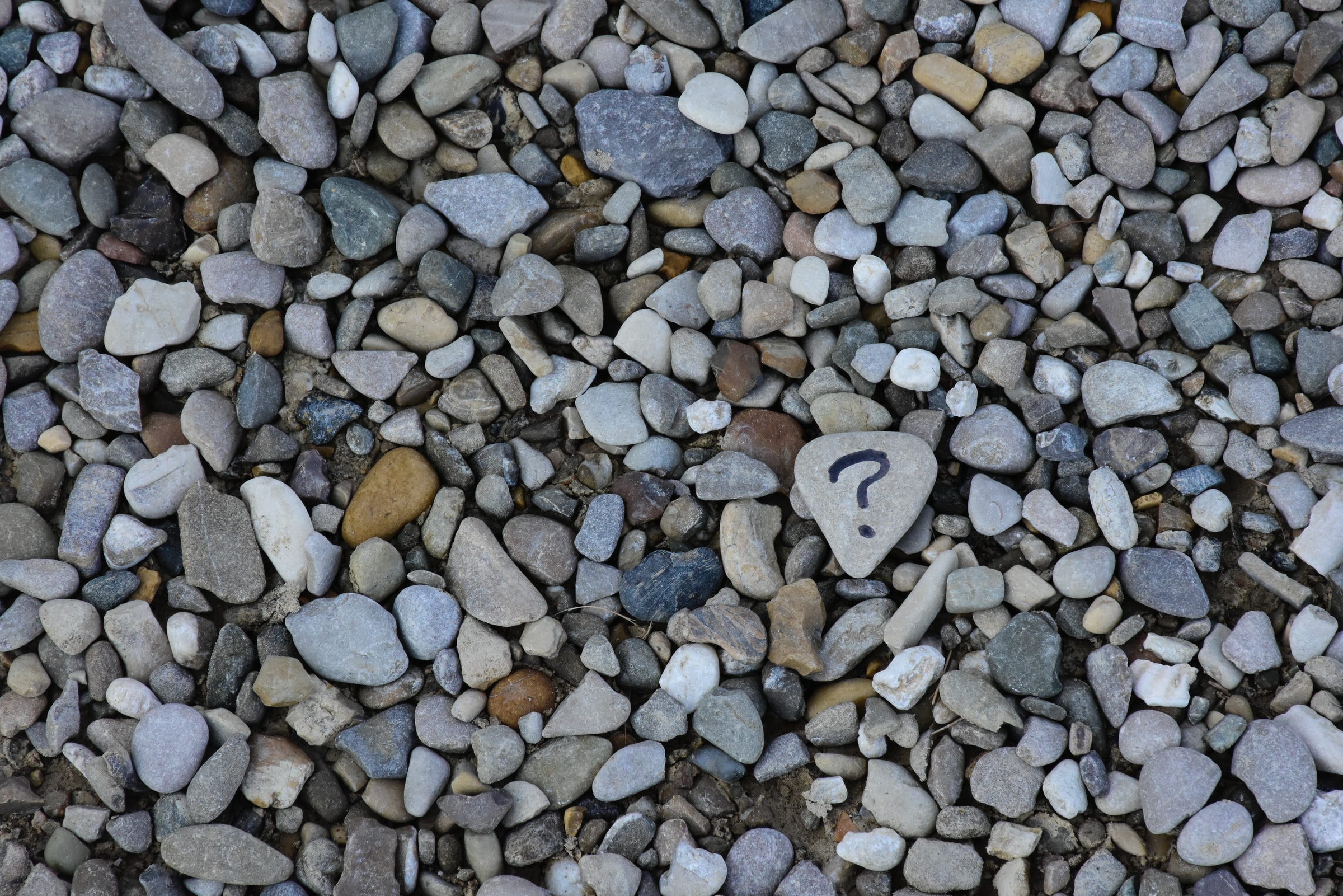 Question Mark on a Pebble on a Beach
