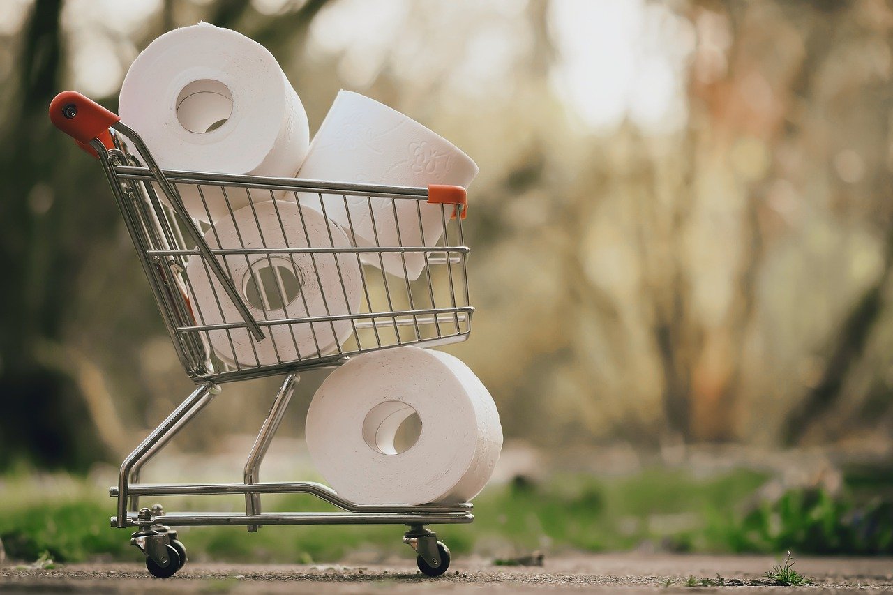 Shopping Cart Full of Toilet Paper